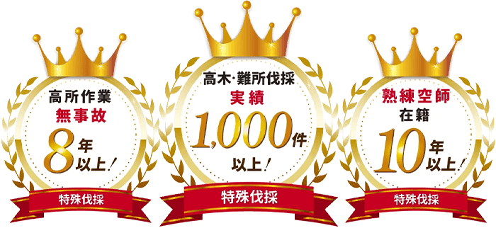 高所作業無事故8年以上！高所・難所伐採実績1,000件以上！熟練空師在籍10年以上！